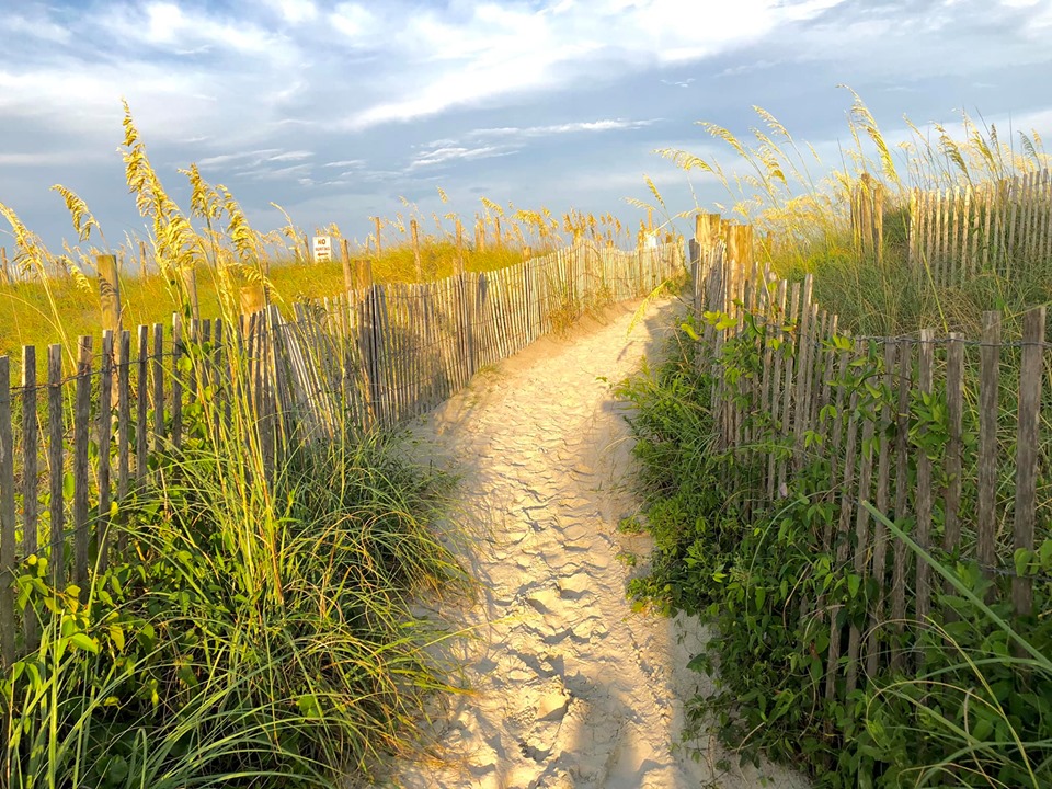 beach path to the ocean with sea grass, fencing, and lots of sunshine