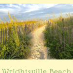 sun lit path of sand with fencing and tall grass leading to the beach