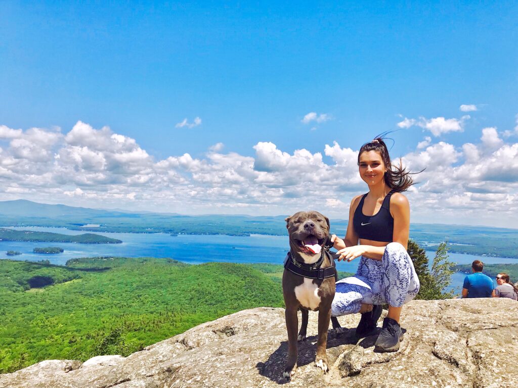 Young girl wearing athletic gear with gray pitbull on top of mountain on a sunny day