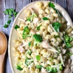 Bowl of spiral pasta with chicken, broccoli and alfredo sauce