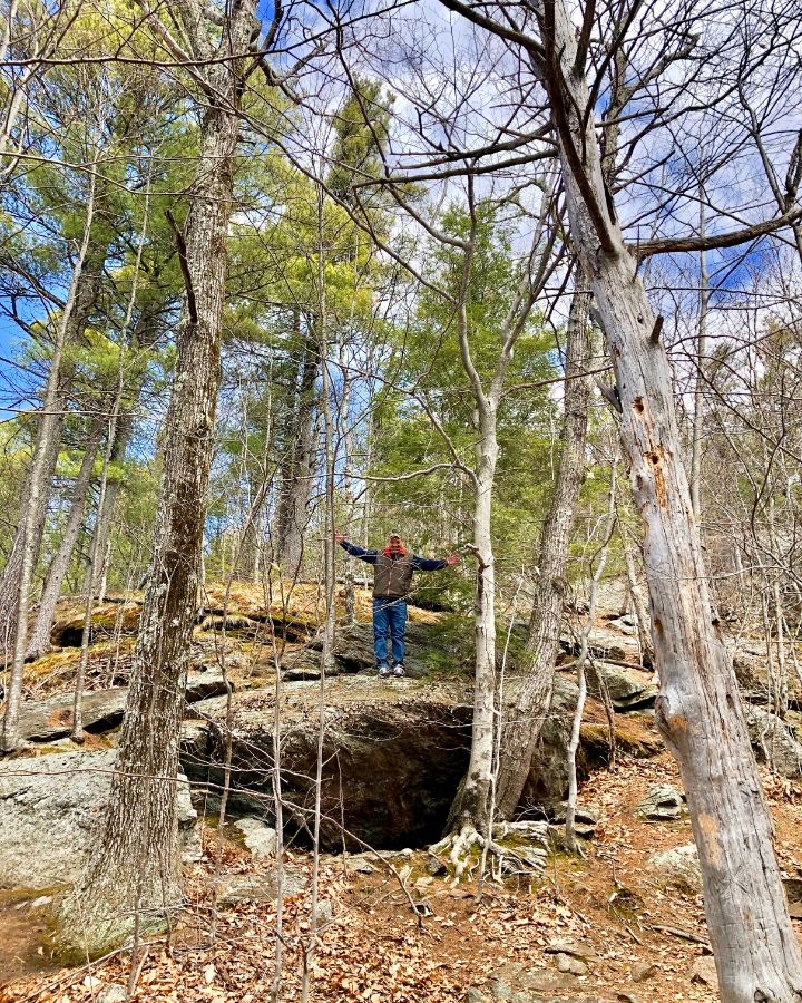 man standing on a rock in the woods