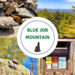 pictures of blue job mountain