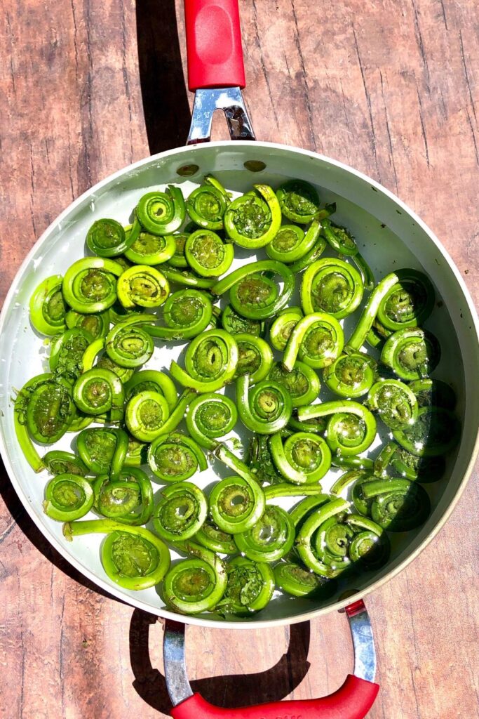 Fiddleheads in a skillet full of water