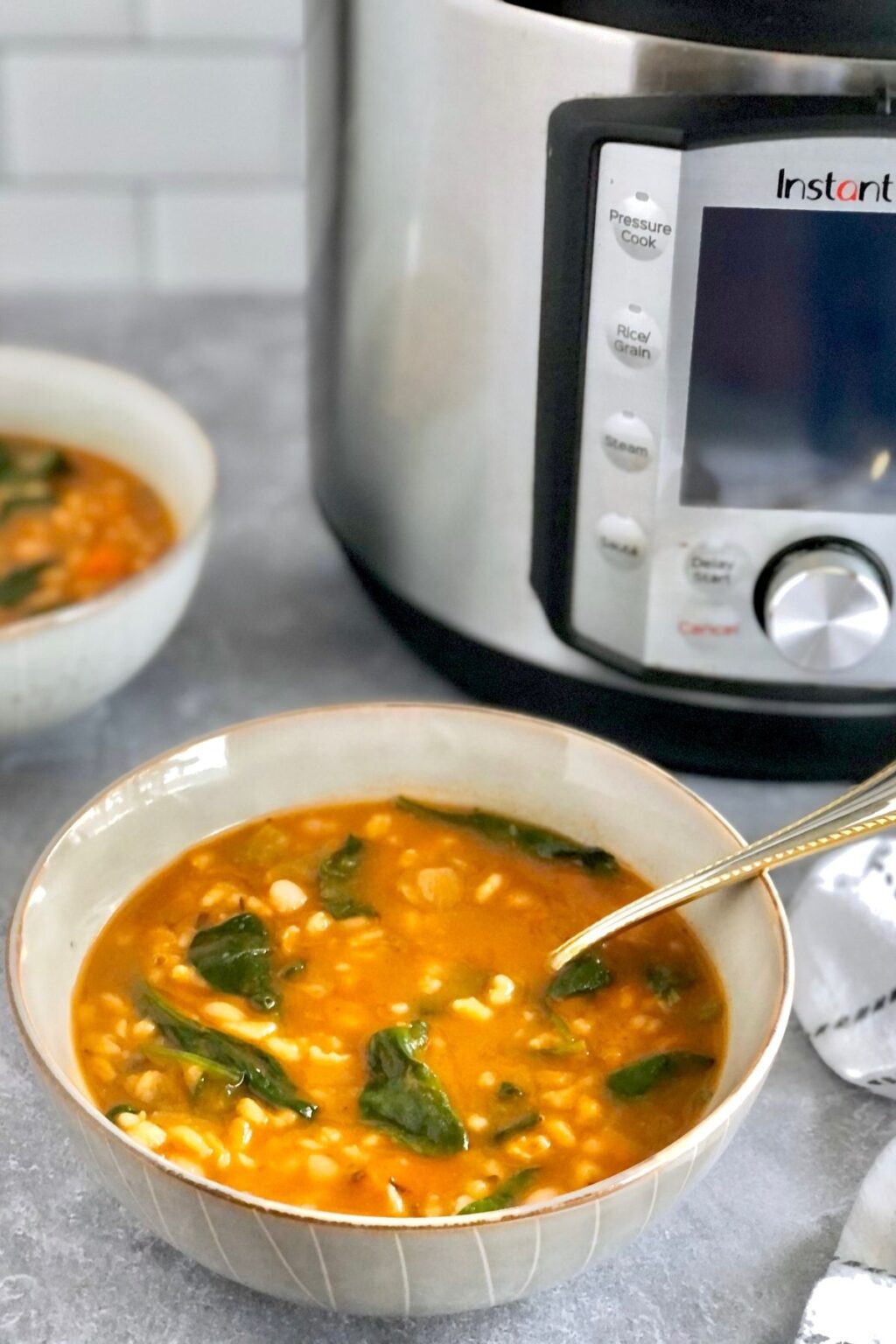 Instant Pot Bean and Barley Soup HOORAH to Health