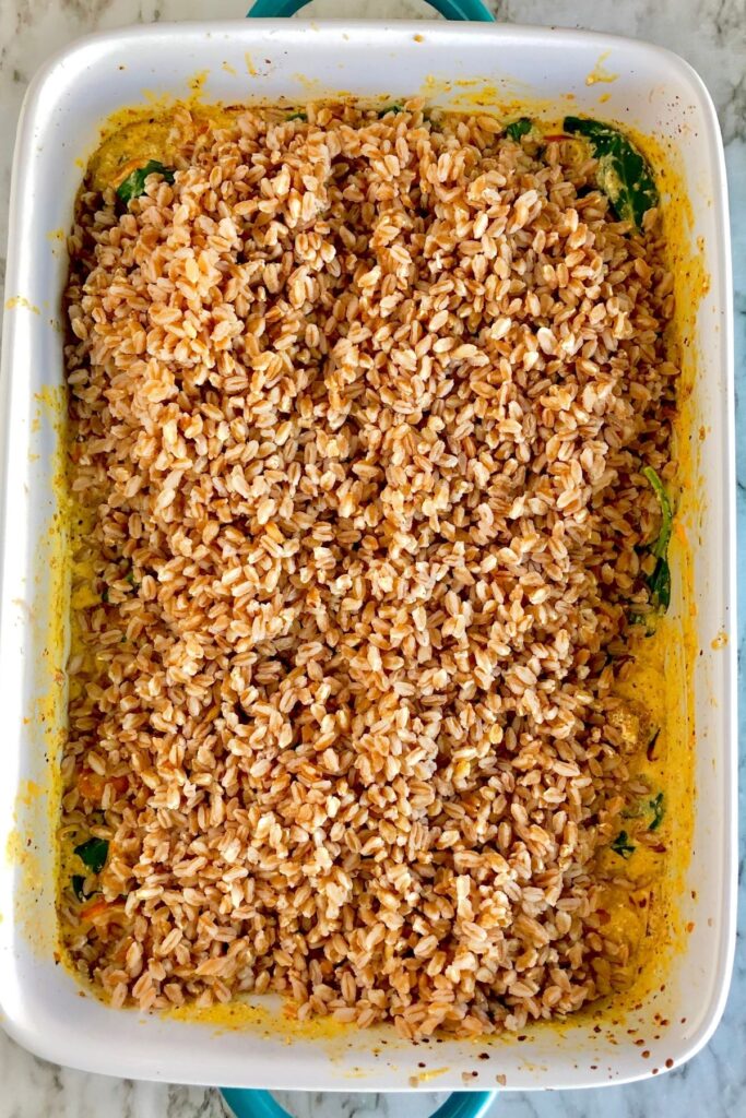 cooked farro in a baking dish