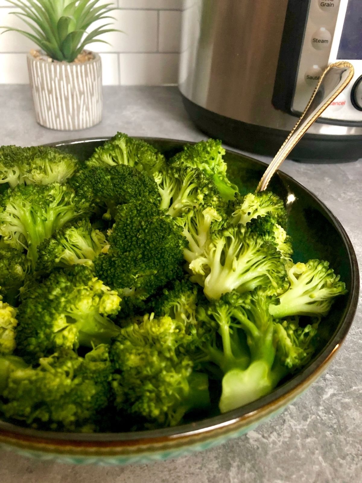 bowl of steamed broccoli with instant pot and plant in background.