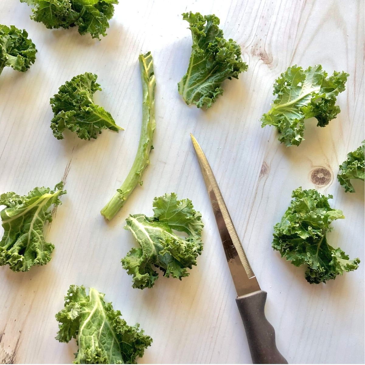 a knife, long stem, and 2-3 inch pieces of kale all separated from each other.
